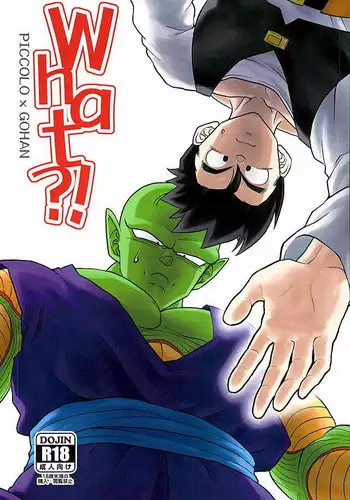 (C90) [Tousoku Chokusen Undou (Pine)] What?! (Dragon Ball Z)