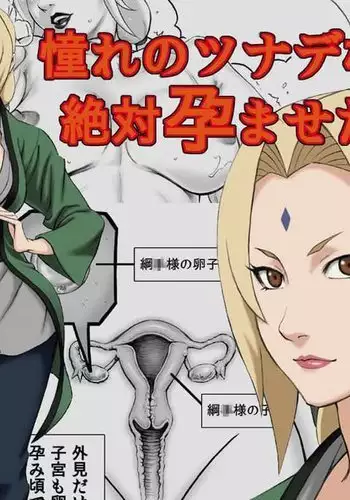 Akogare no Tsunade-sama o Zettai Haramasetai! | I want to impregnate Tsunade-sama!