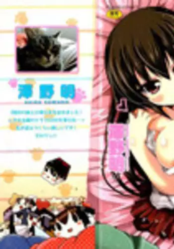 [Sawano Akira] Ani Omou Yue ni Imouto Ari Genteiban