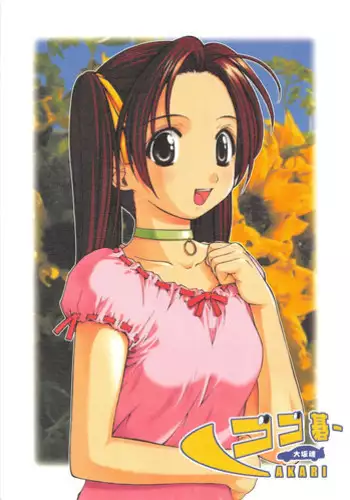 (C58) [Oh!saka Spirits (Aiyama Toshikazu, Ugeppa)] Go Go Goo Akari (Hikaru no Go)