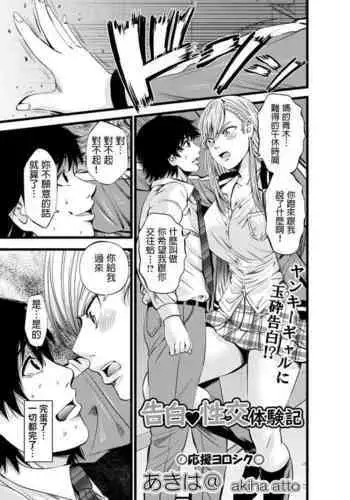 Kokuhaku Seikou Taikenki