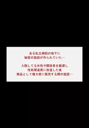 Shoujo Buppinka ~Kotei-shiki Niku Benki~